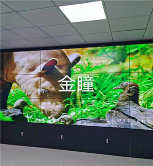 贵州铜仁林业49寸3.5mm3X5机柜+矩阵