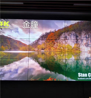 Qingyuan agricultural and Rural Research Institute (55 inch 3.5mm+ wall bracket + matrix)